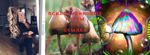 Альфа ПВП Армянск